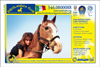 Equilandia