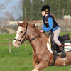 Equilandia