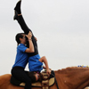Equilandia
