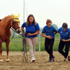Equilandia