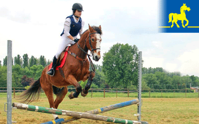 Equilandia