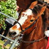 Equilandia