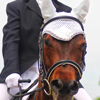 Equilandia