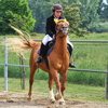 Equilandia