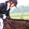 Equilandia